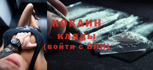 ECSTASY Горняк