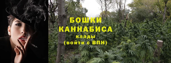 ECSTASY Горняк