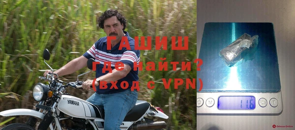 ECSTASY Горняк