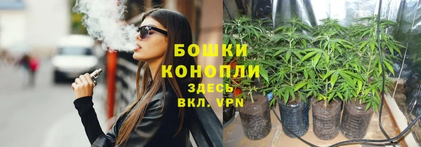 ECSTASY Горняк