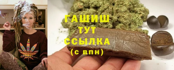 ECSTASY Горняк