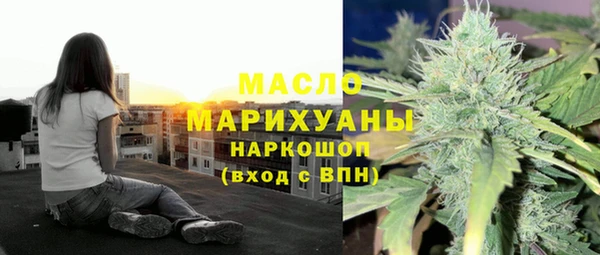ECSTASY Горняк
