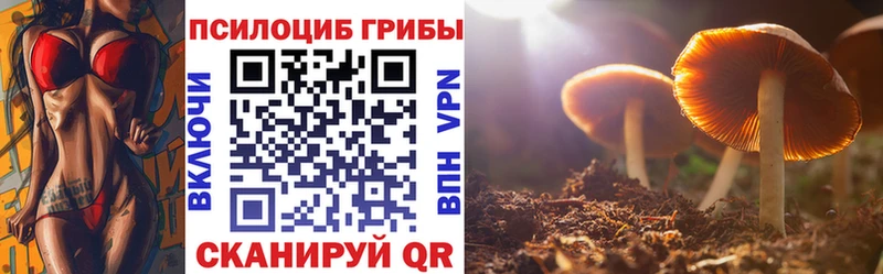Галлюциногенные грибы мухоморы  Казань 